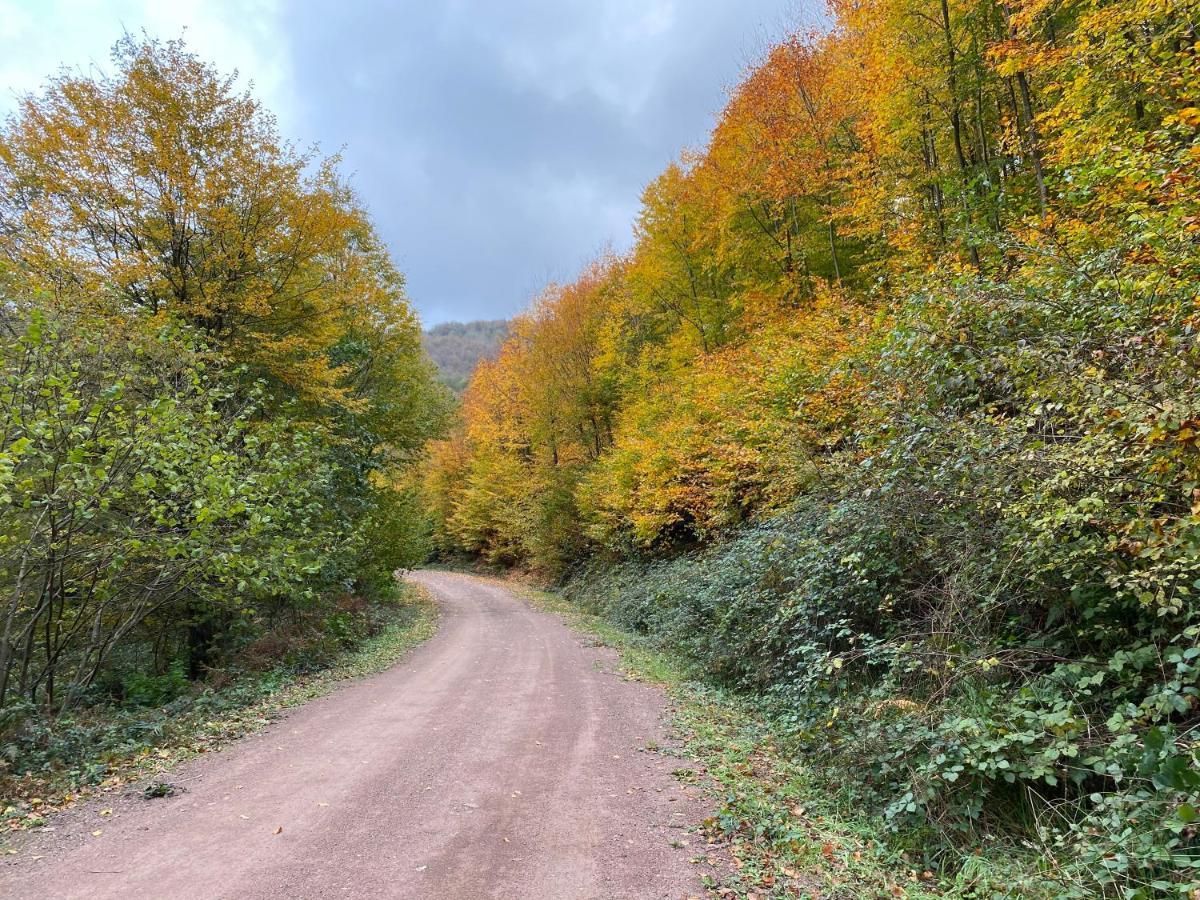 Sarikonaklar Garden Village Ağva Kültér fotó